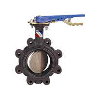 BUTTERFLY VALVE 5 DUCTILE IRON LUG BODY LD21005 BRONZE DISC BUNA SEAT