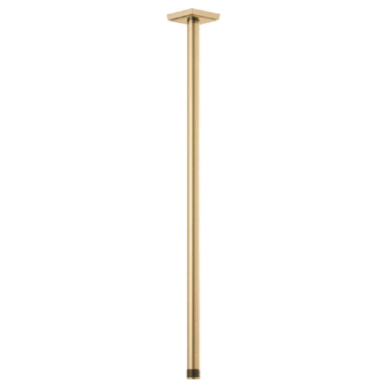 Brizo Essential Shower Arm in Luxe Gold