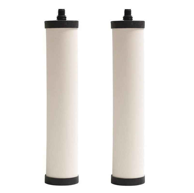 FILTER FRC06-2PK