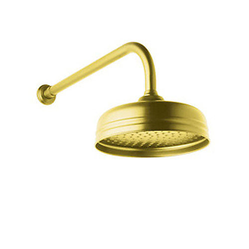 Perrin & Rowe Rain Single-Function Showerhead In Italian Brass