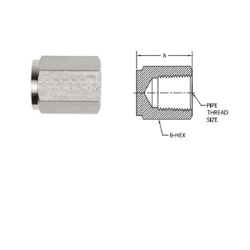 CAP 3/8 SS T316 HEX 1.031 OAL SS-6-1FPC
