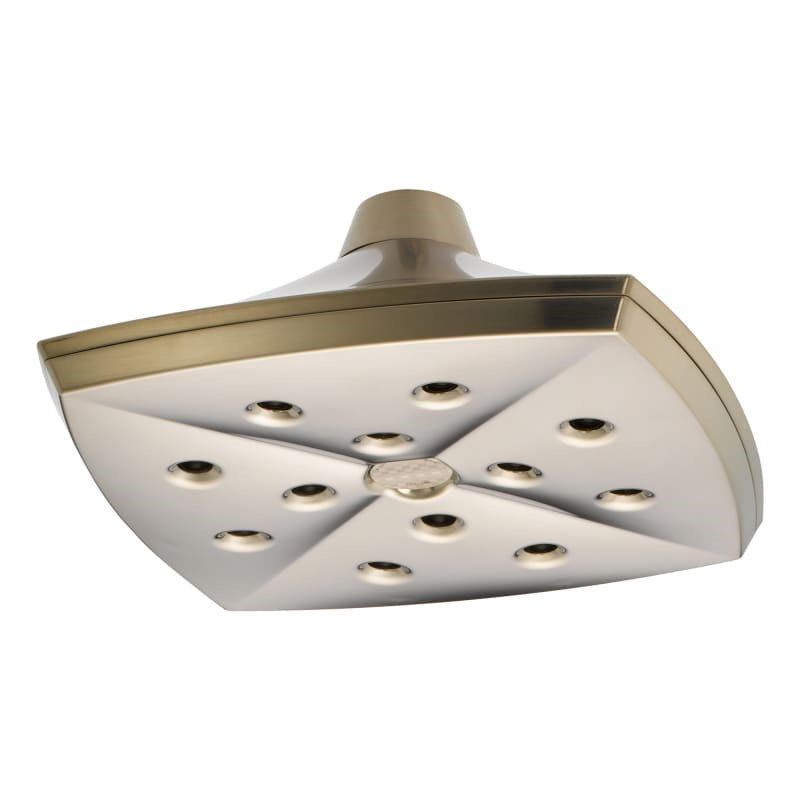 Charlotte Raincan Single-Function Showerhead In Brushed Nickel