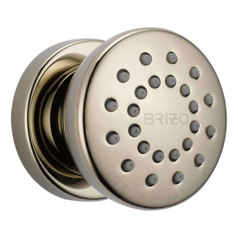 Brizo Essential Surface Mount Round Body Spray In Polished Nickel