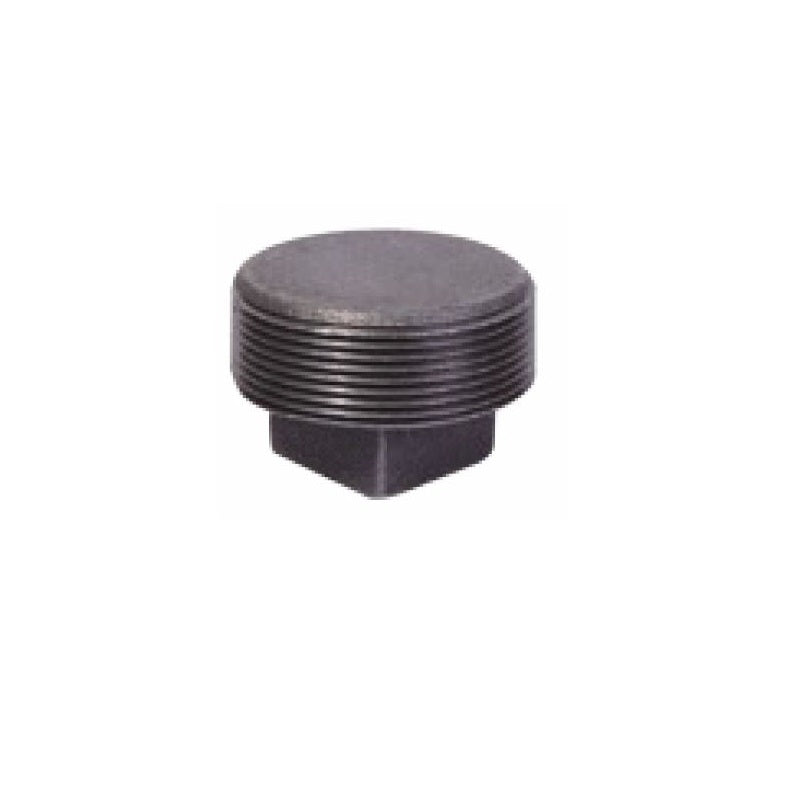 PLUG 1-1/4 GALVANIZED MALLEABLE IRON SQUARE HEAD MG 36607 - PLG12