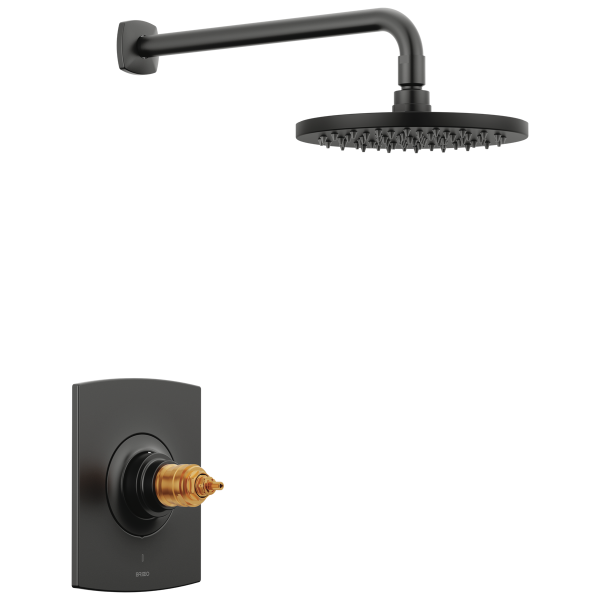 Allaria Thermostatic Shower Only Trim, No Hdl in Matte Black