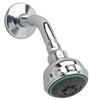 3-Function Showerhead & Arm Satin Nickel