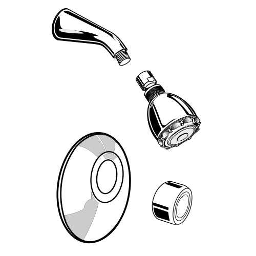 Amarillis Shower Trim W/Multi-Function Showerhead In Polished Brass