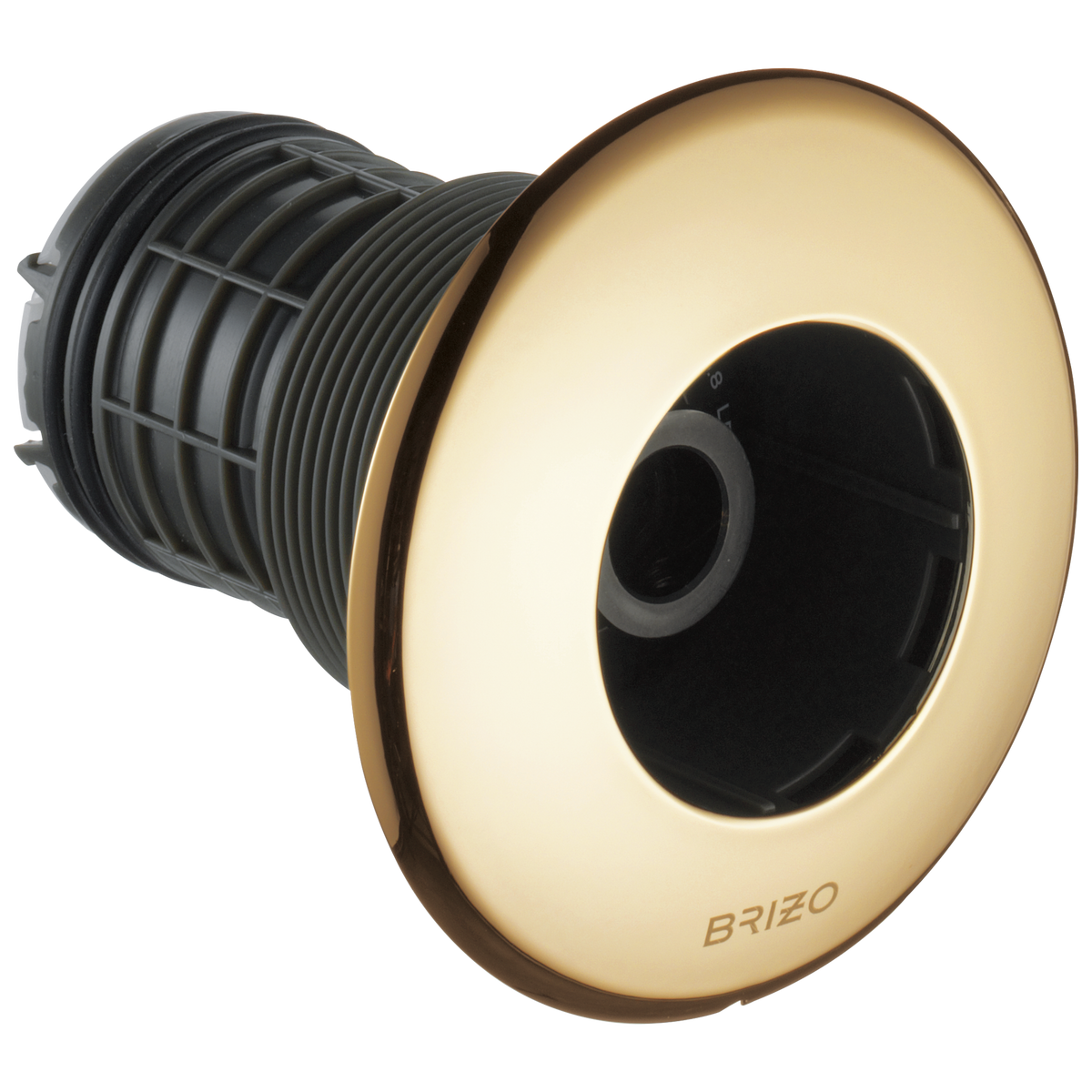 HydraChoice Max Round Body Spray Trim Only in Polished Gold