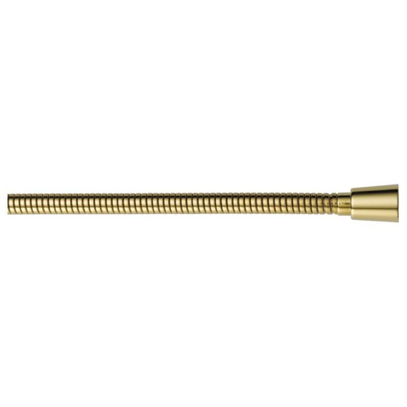Universal Showering 60" to 82" Stretchable Metal Hose Polished Brass