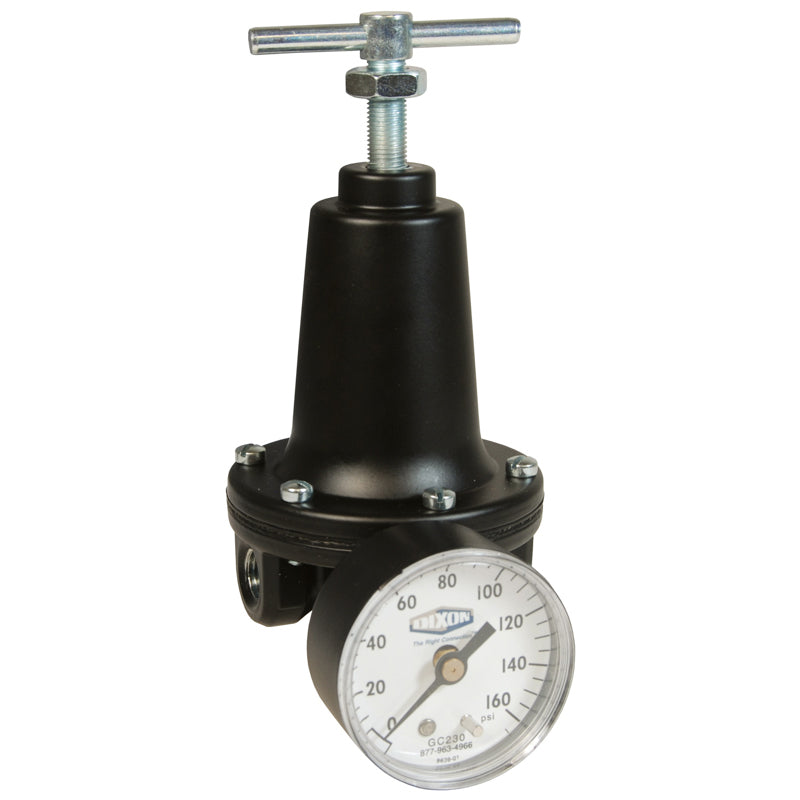 REGULATOR 1 ZINC R119-08CG STANDARD - 220 SCFM - W/ GAUGE