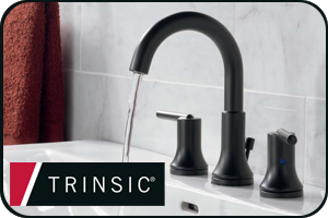 Delta Trinsic