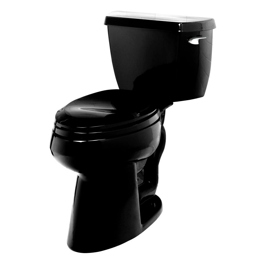 Wellworth 2 pc Elongated Toilet in Black