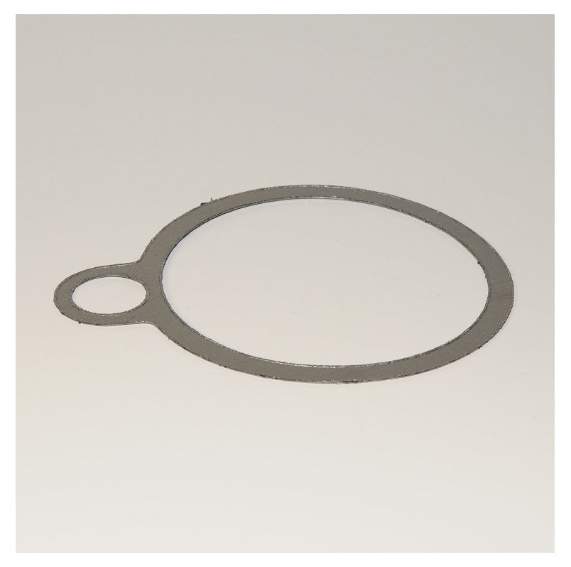 Gasket for Steam Trap