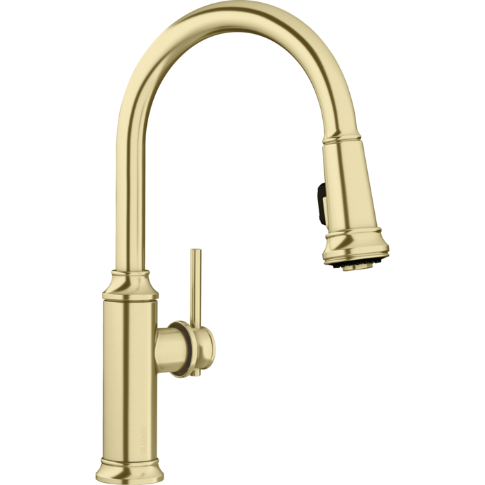 Empressa High Arc Kitchen Faucet w/Pull-Down Spray in Satin Gold