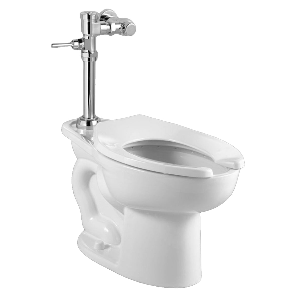 Madera Elongated One-Piece Toilet In White
