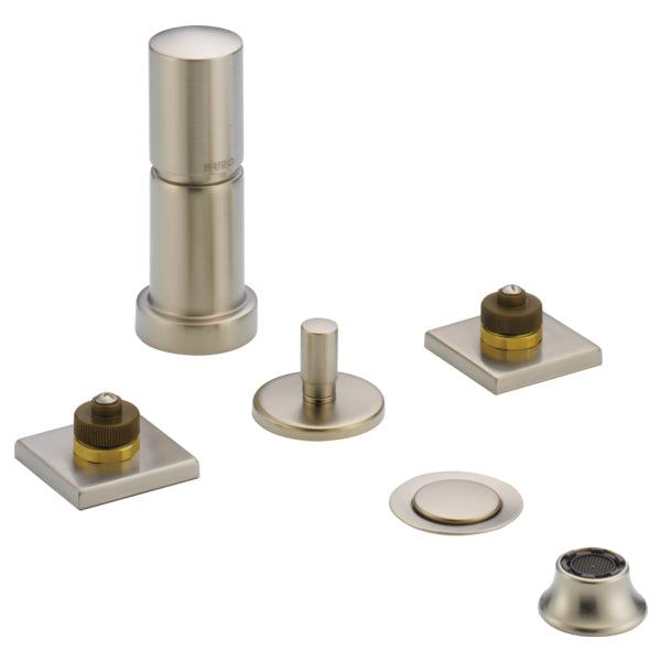 Siderna Bidet Faucet in Brushed Nickel Less Handles