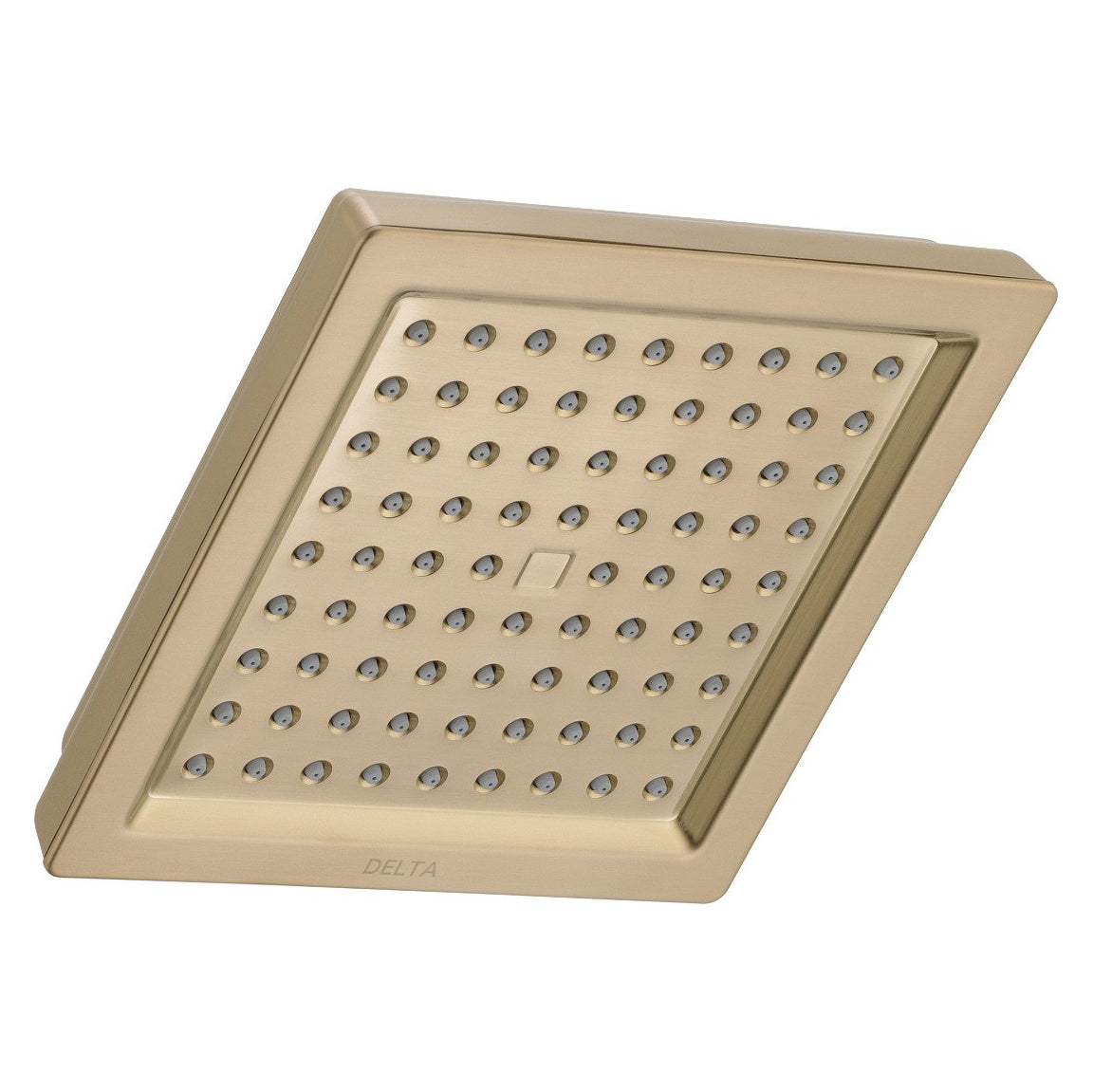 Raincan Single-Function Showerhead In Champagne Bronze