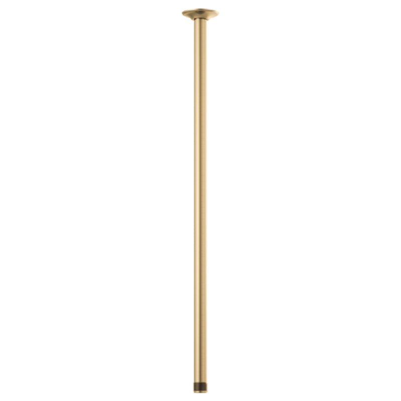 Brizo Essential Shower Arm in Luxe Gold