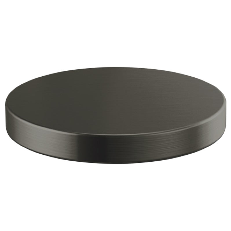 Brizo Litze Hole Cover in Luxe Steel