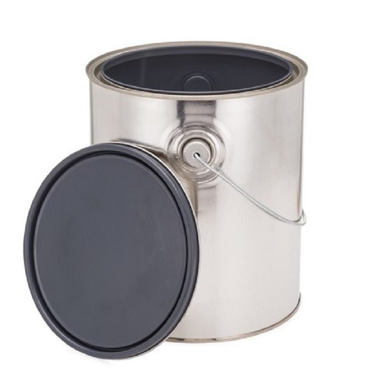 Can (Empty) 1 Gal Paint Epoxy-Lined Metal with Lid