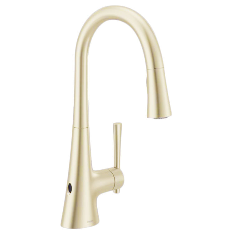 Kurv MotionSense Wave 1-Handle Kitchen Faucet in Nickel