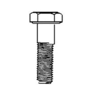 CAP 1/2-13 X 2 1/4 HEX HEAD 18-8 1-H-50C-225 - BOX OF 50