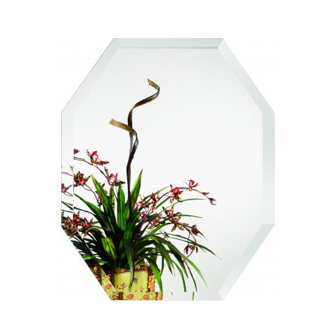 MIRROR 21-1/4X30-3/4 9561-102 OCTAGON