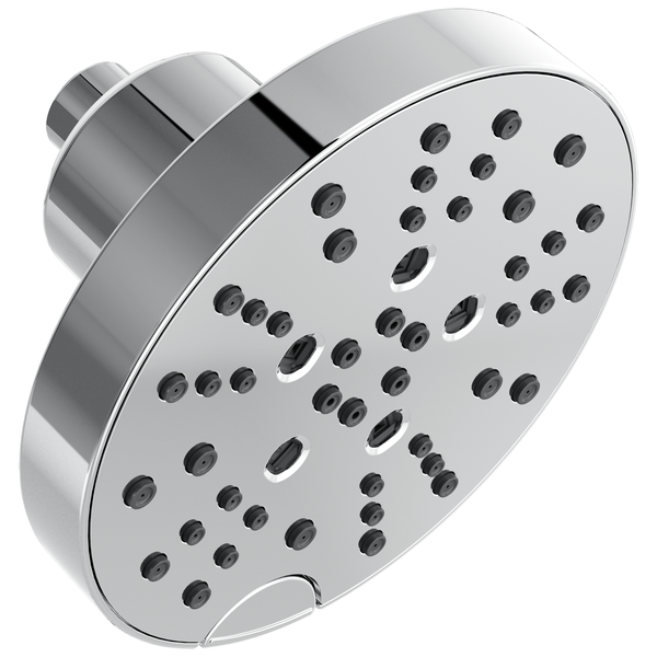 Contemporary Multi-Function Showerhead In Lumicoat Chrome