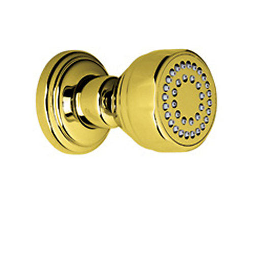 Perrin & Rowe Surface Mount Body Spray In Italian Brass