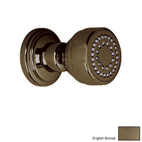 Perrin & Rowe Surface Mount Body Spray In English Bronze