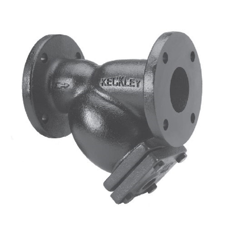 STRAINER 6 125# CI FLGD STYLE A KECKLEY