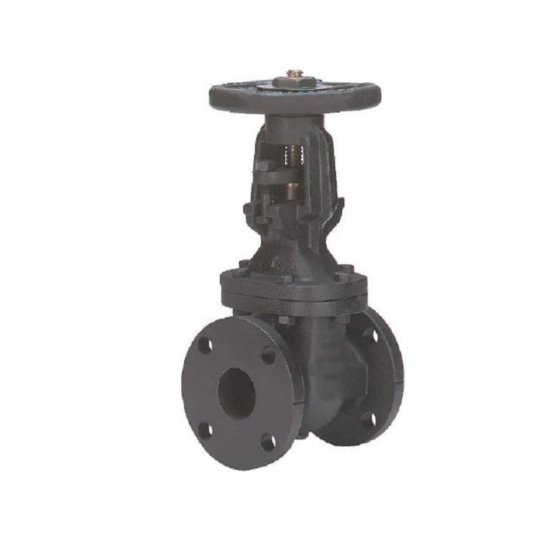 GATE VALVE 4 125# CAST IRON FLANGED IBBM