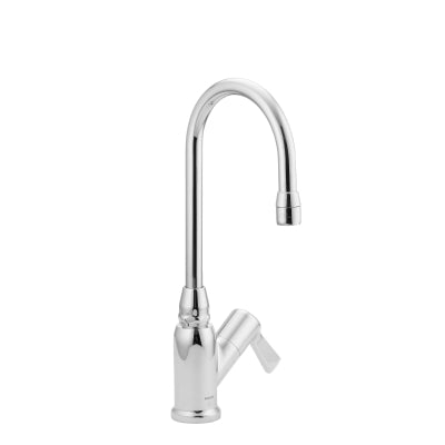 M-Dura Chrome Laboratory Faucet In Chrome