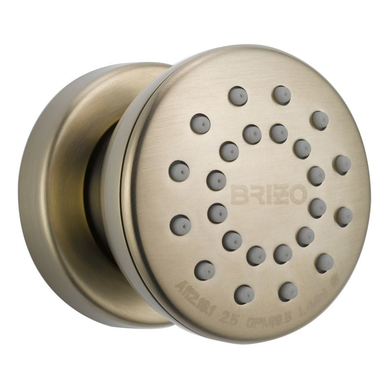 Brizo Essential Surface Mount Round Body Spray In Brushed Nickel