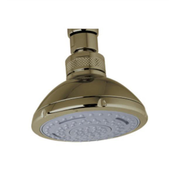 Sondria Multi-Function Showerhead In Tuscan Brass
