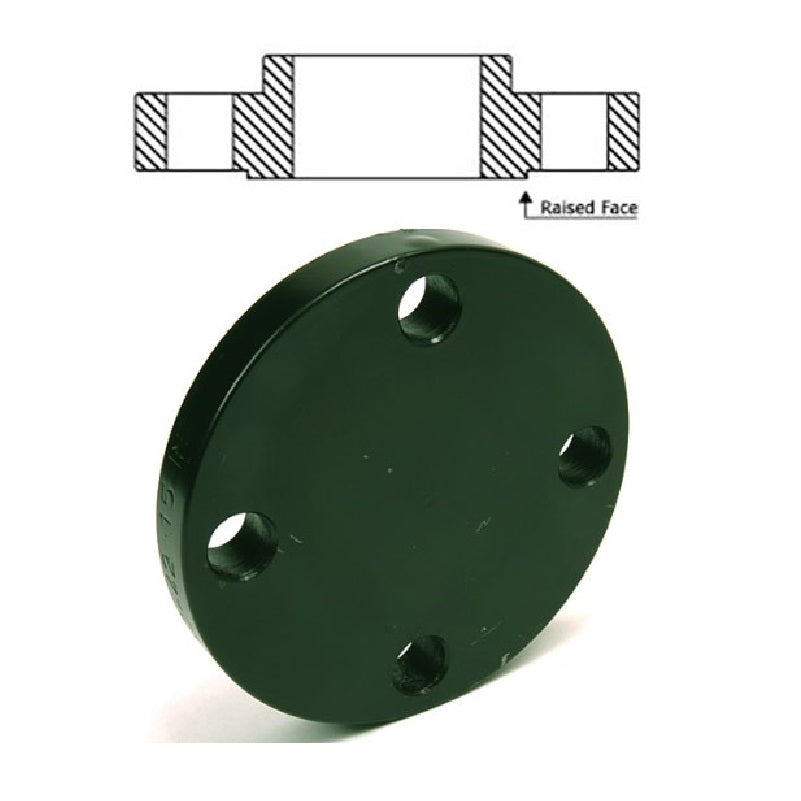 FLANGE 16 150# FORGED STEEL A105 RAISED FACE BLIND - NON-DOMESTIC