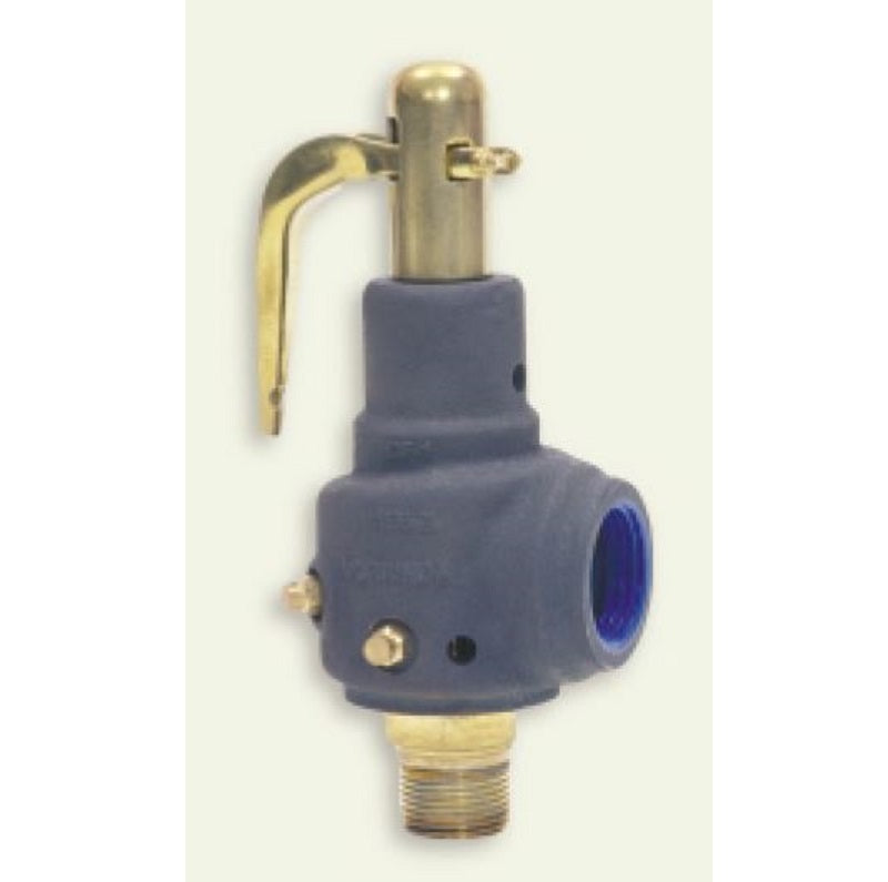 Relief Valve 1-1/4" Steam