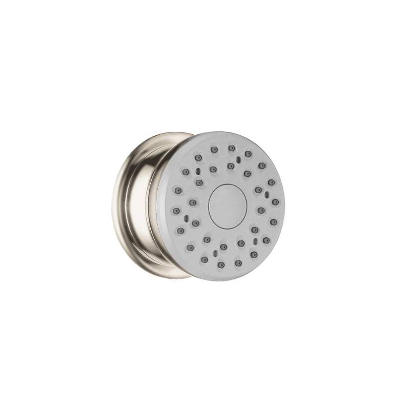 Bodyvette Surface Mount Body Spray In Brushed Nickel