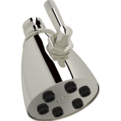 Graceline Multi-Function Showerhead In Polished Nickel