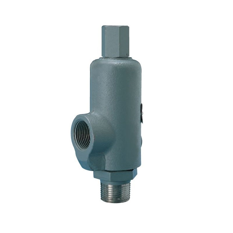 Relief Valve 1" Carbon Steel Set for Steam  Max Pressure 320 PSI