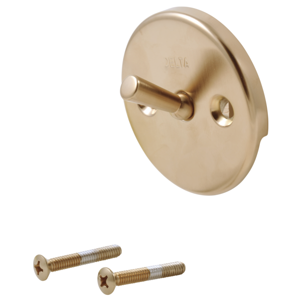 Overflow Plate & Screws in Champagne Bronze