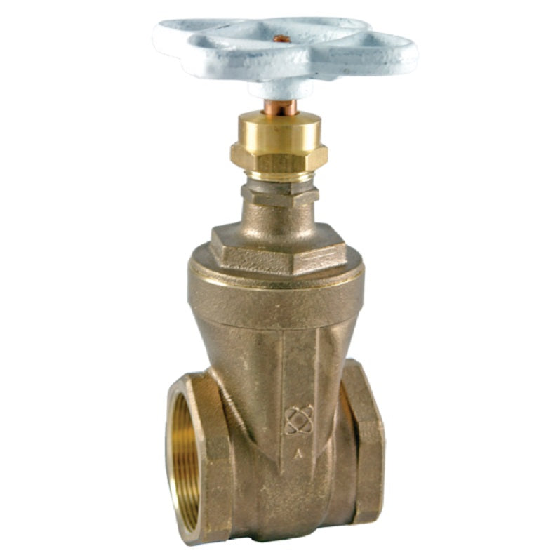 GATE VALVE 2 T-113-LF FIP LEAD FREE