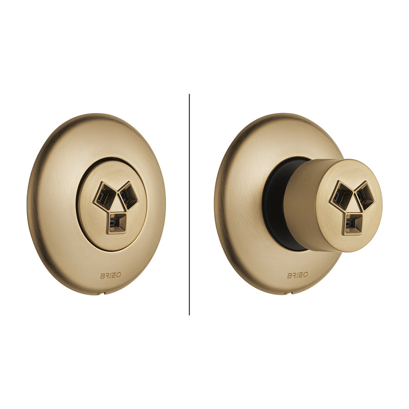HydraChoice Max Round Body Spray Trim Only in Luxe Gold