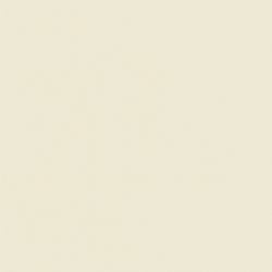 VANITY DECK 31X19 VDT3119 SS 08 BISCUIT