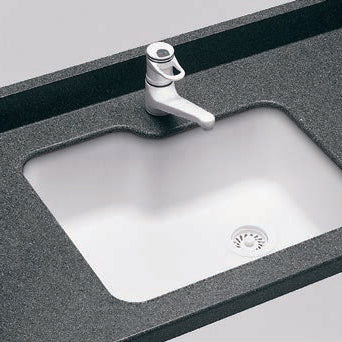 25x21-1/4x8-3/4" Swanstone Kitchen Sink in Bone