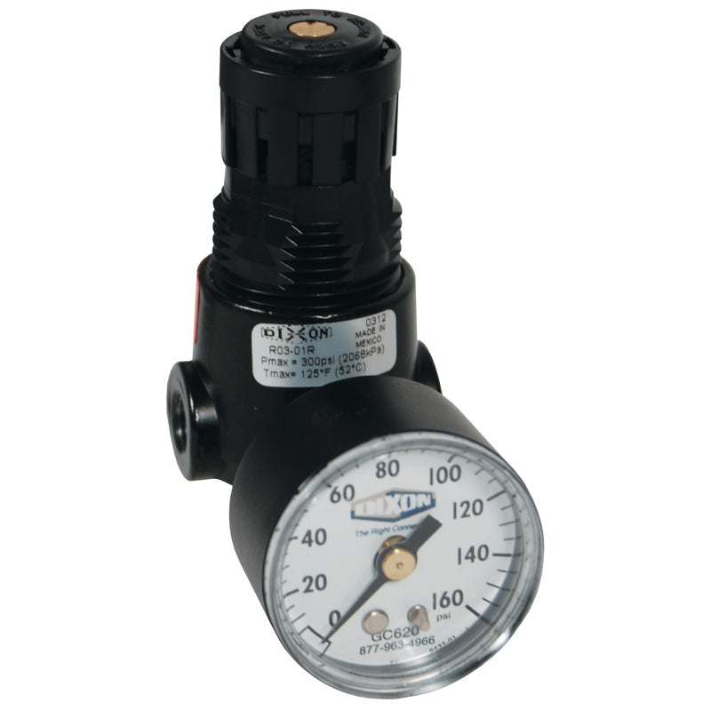 REGULATOR 1/4 R03-02RG MINI W/GAUGE - 15 SCFM